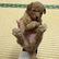 仔犬紹介001
