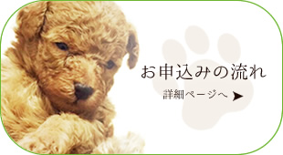 お申込みの流れ