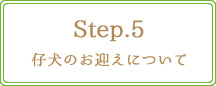 Step.5　仔犬のお迎えについて