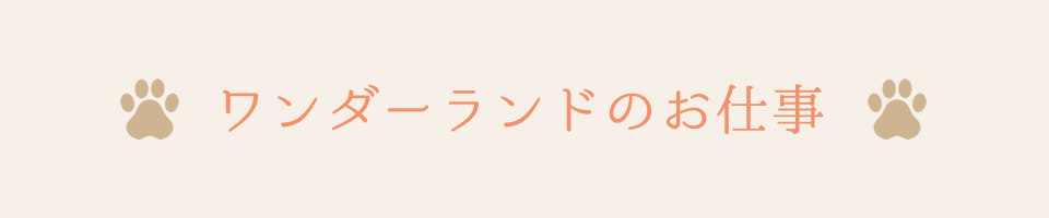 ワンダーランドのお仕事