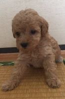 ご成約　ありがとうございます。