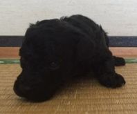 ご成約　ありがとうございます。