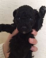 ご成約　ありがとうございます。